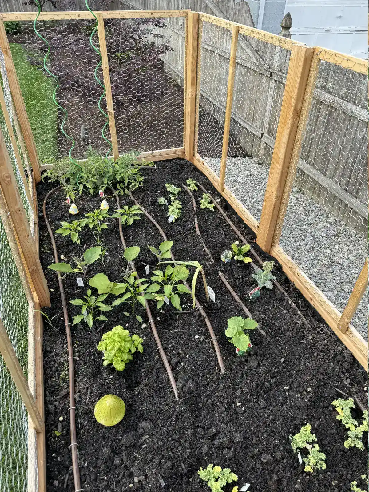 Raised garden bed with drip irrigation system installed