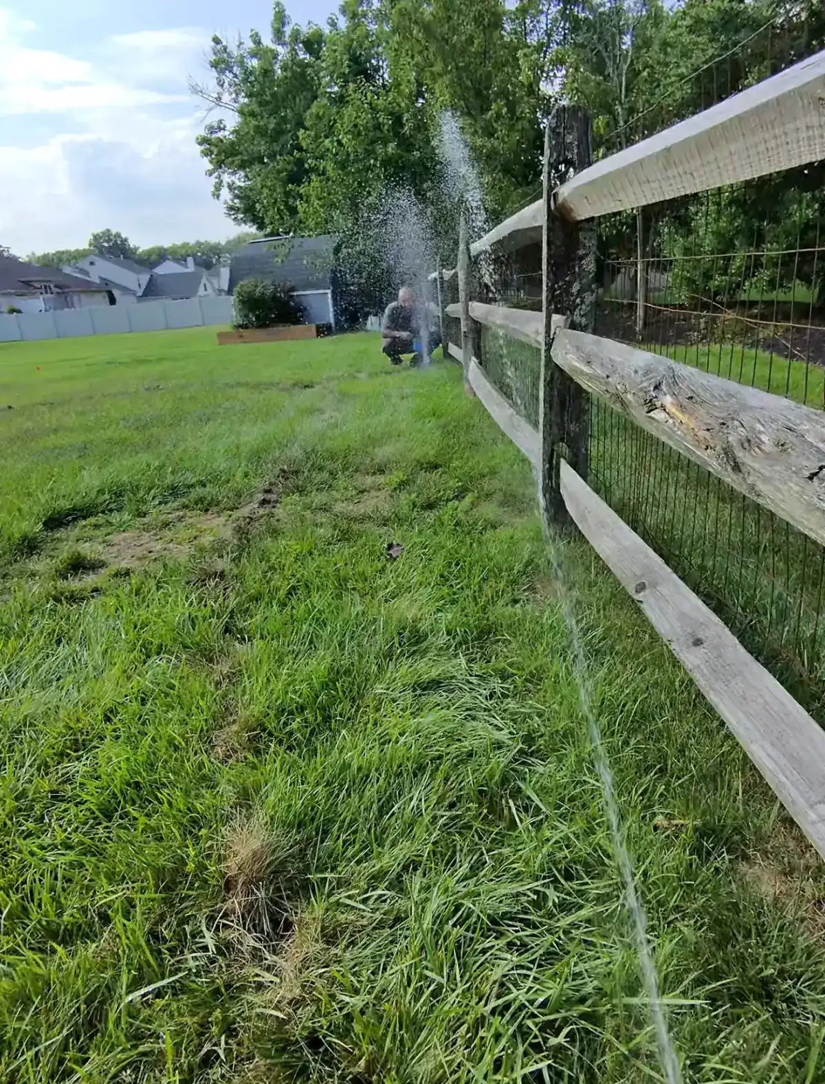 Sprinkler system watering backyard along fence line