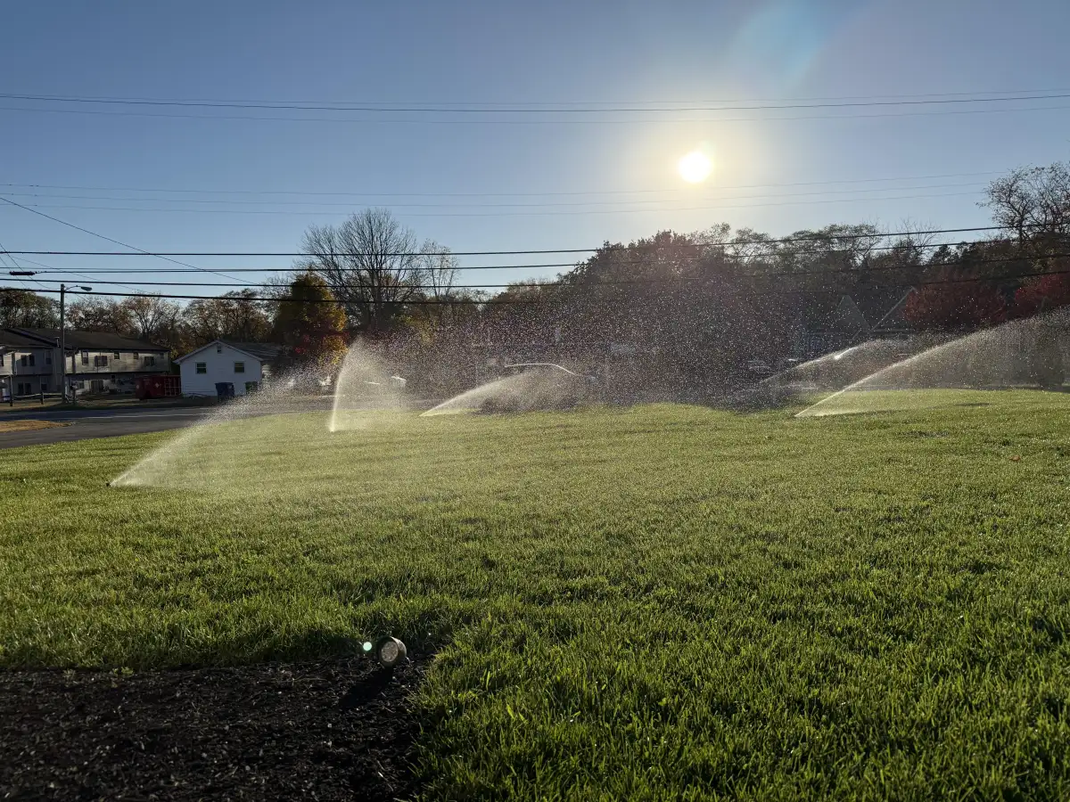Professional sprinkler system watering a South Jersey lawn at golden hour
