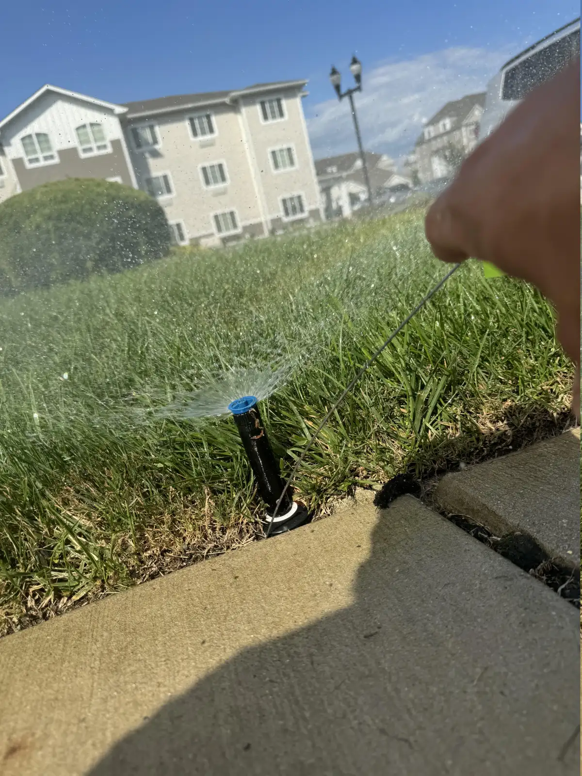Pop-up sprinkler head watering lawn next to sidewalk